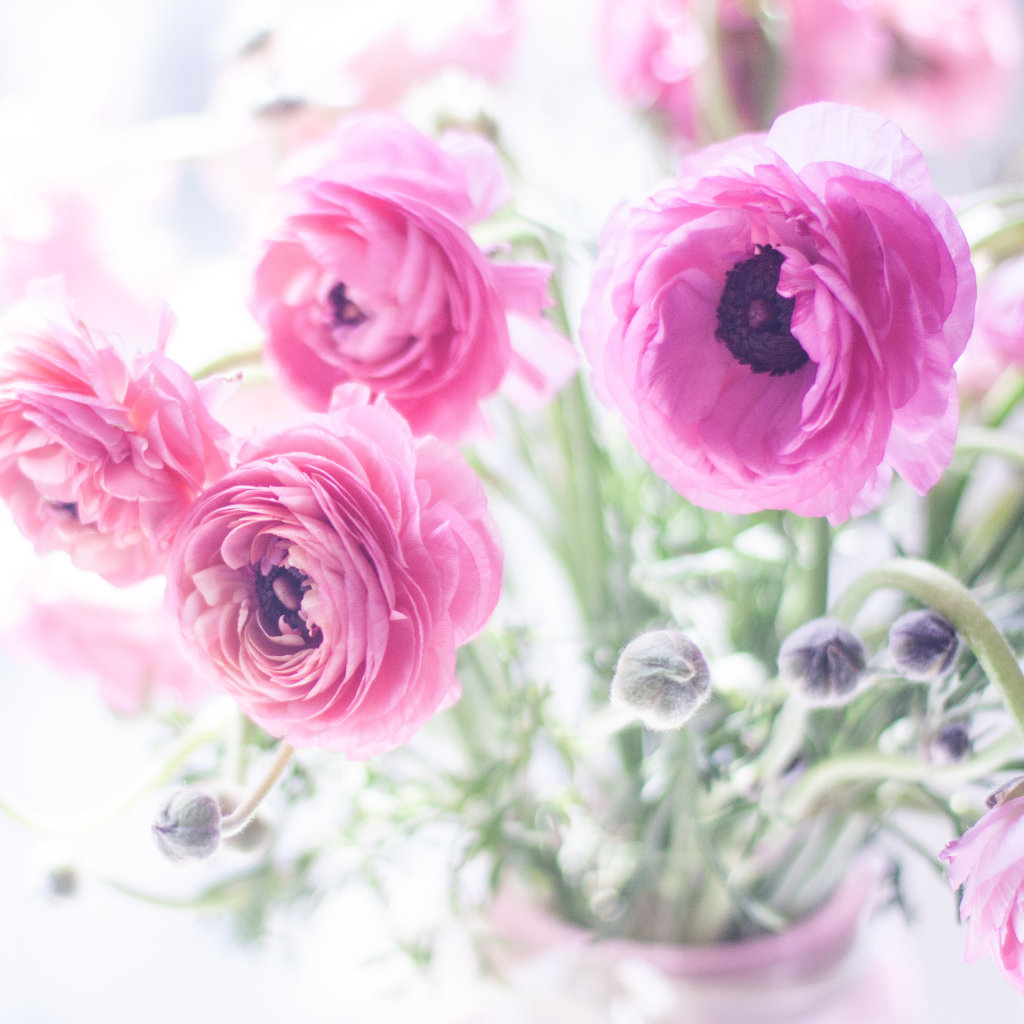 花の画像2